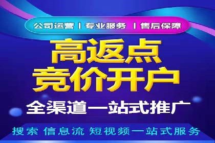 某某SEM服务公司如何帮助企业实现ROI最大化